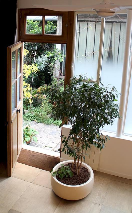Appartement L'atelier D'artiste *